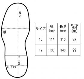 サイズ表