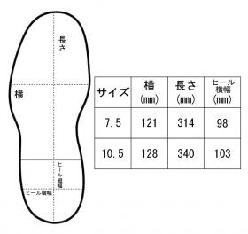 サイズ表