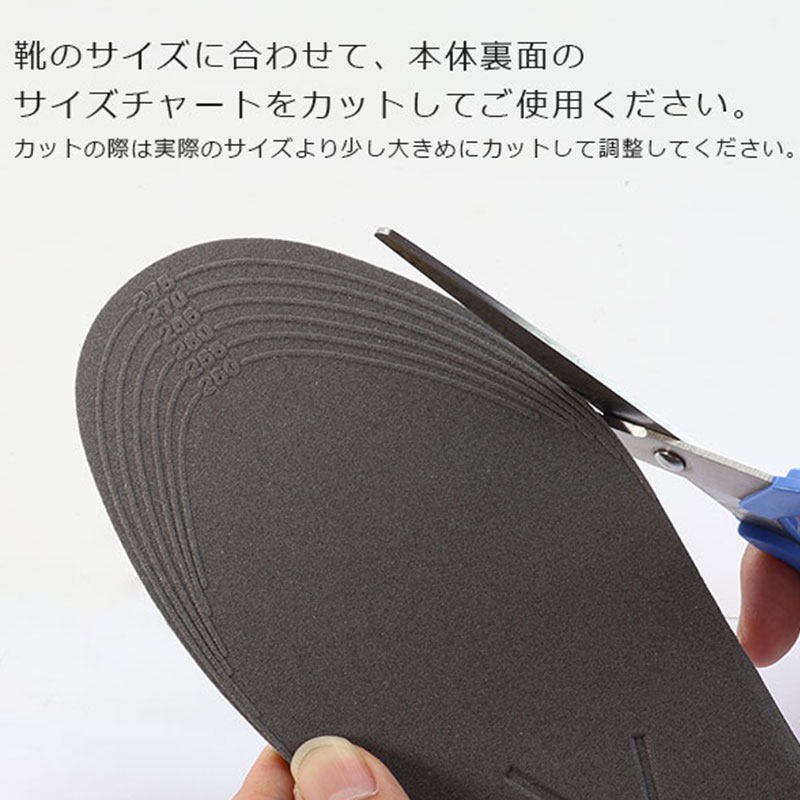 サイズ表